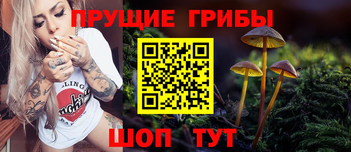 Псилоцибиновые грибы GOLDEN TEACHER Сыктывкар