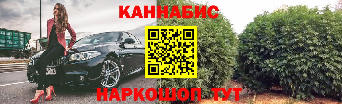 Каннабис гибрид Сыктывкар